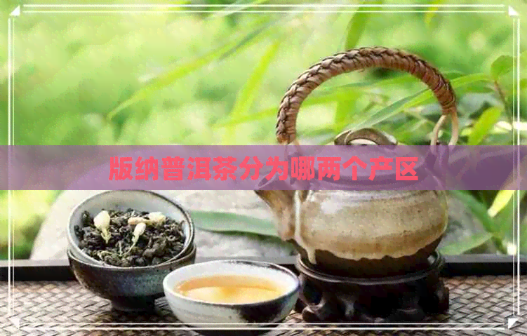 版纳普洱茶分为哪两个产区