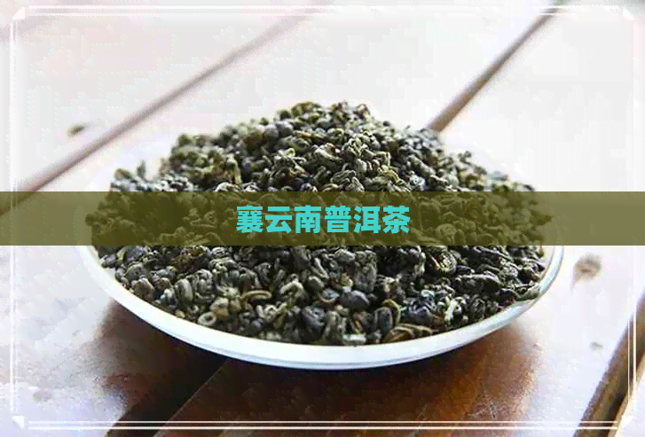 襄云南普洱茶