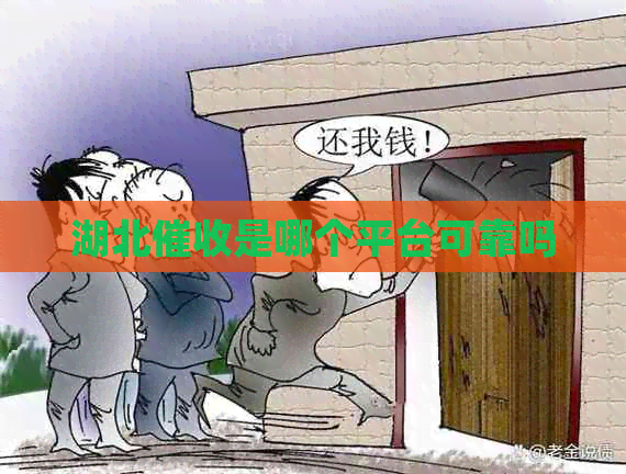 湖北是哪个平台可靠吗