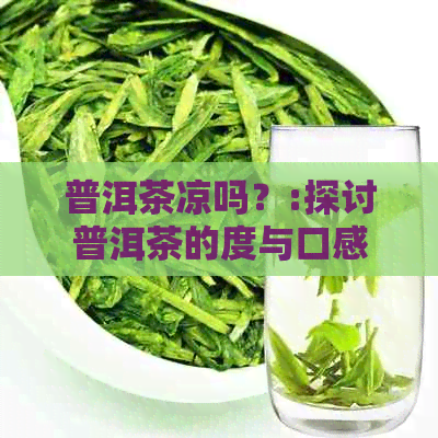 普洱茶凉吗？:探讨普洱茶的度与口感