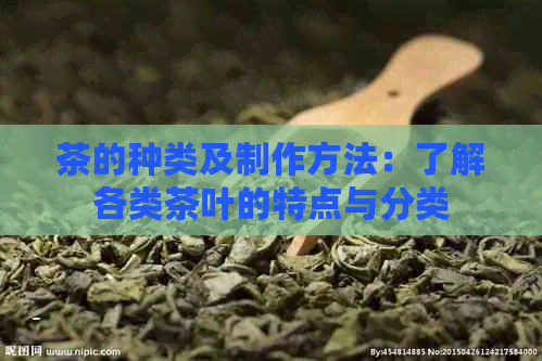 茶的种类及制作方法：了解各类茶叶的特点与分类