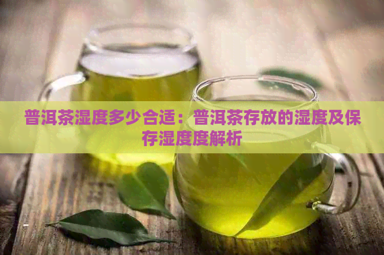 普洱茶湿度多少合适：普洱茶存放的湿度及保存湿度度解析