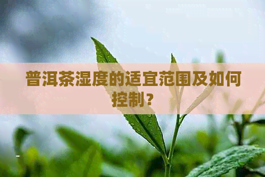 普洱茶湿度的适宜范围及如何控制？