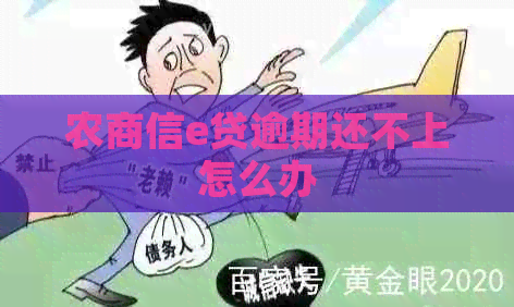 农商信e贷逾期还不上怎么办