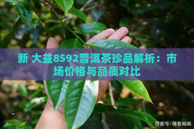 新 大益8592普洱茶珍品解析：市场价格与品质对比