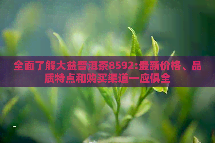 全面了解大益普洱茶8592:最新价格、品质特点和购买渠道一应俱全