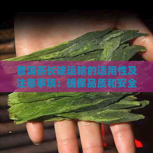 普洱茶长途运输的适用性及注意事项：确保品质和安全