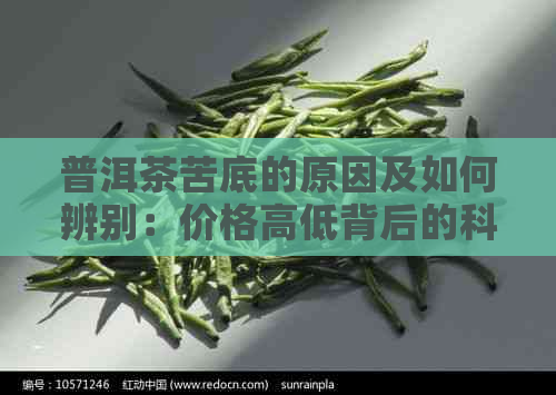 普洱茶苦底的原因及如何辨别：价格高低背后的科学解析