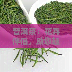 普洱茶：花卉伴侣，助您轻松养护各式植物