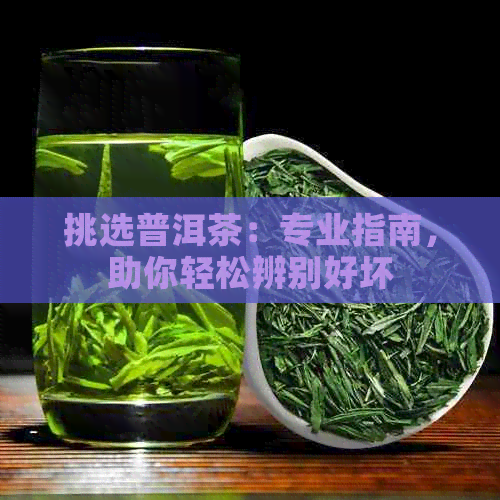 挑选普洱茶：专业指南，助你轻松辨别好坏