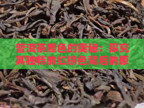 普洱茶颜色的奥秘：探究其独特的红棕色背后的原因