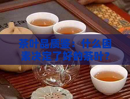 茶叶品质鉴：什么因素决定了好的茶叶？