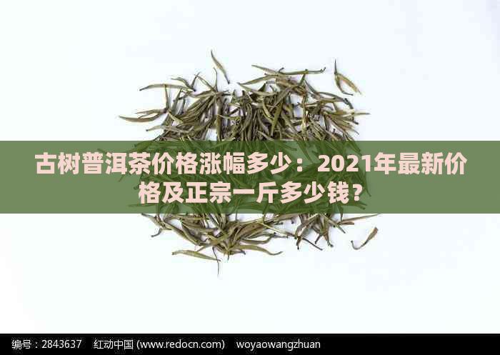 古树普洱茶价格涨幅多少：2021年最新价格及正宗一斤多少钱？