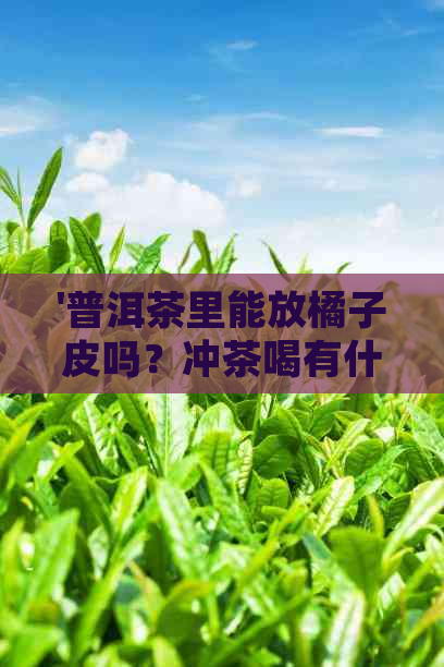 '普洱茶里能放橘子皮吗？冲茶喝有什么好处？-百度百科'