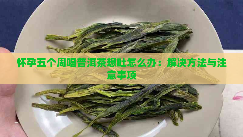 怀孕五个周喝普洱茶想吐怎么办：解决方法与注意事项