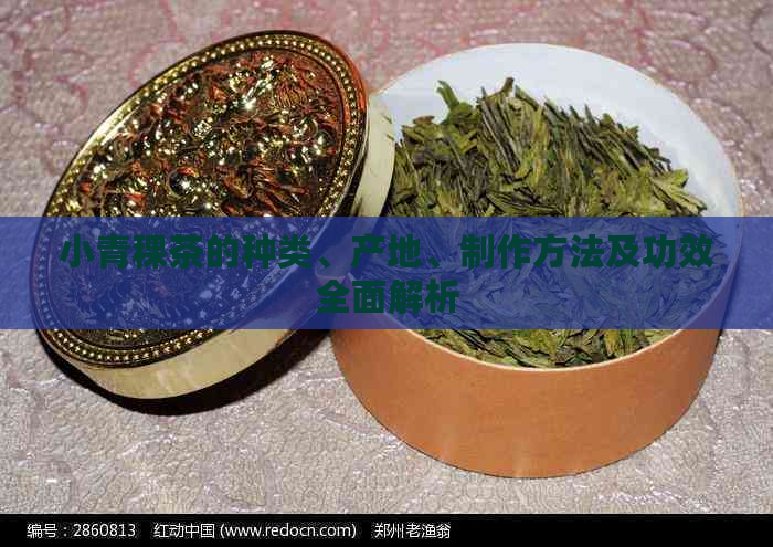 小青稞茶的种类、产地、制作方法及功效全面解析