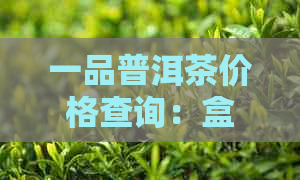 一品普洱茶价格查询：盒装多少钱？