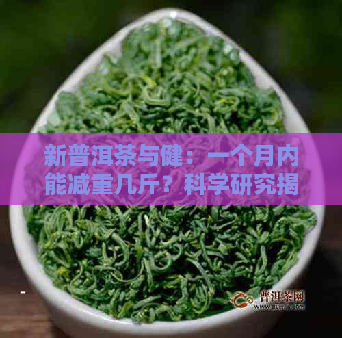 新普洱茶与健：一个月内能减重几斤？科学研究揭示其影响因素！