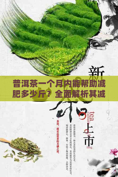 普洱茶一个月内能帮助减肥多少斤？全面解析其减肥效果与注意事项