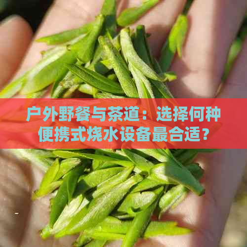 户外野餐与茶道：选择何种便携式烧水设备最合适？