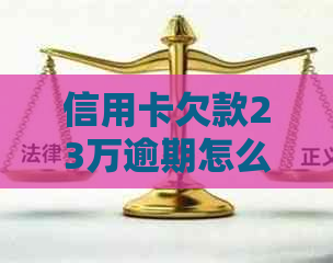 信用卡欠款23万逾期怎么办