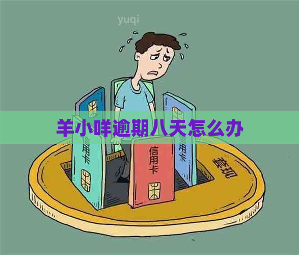 羊小咩逾期八天怎么办