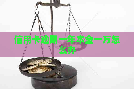 信用卡逾期一年本金一万怎么办