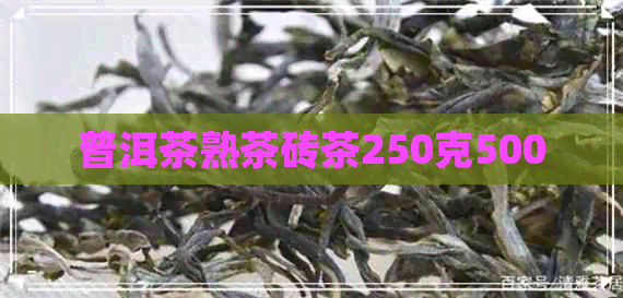普洱茶熟茶砖茶250克500