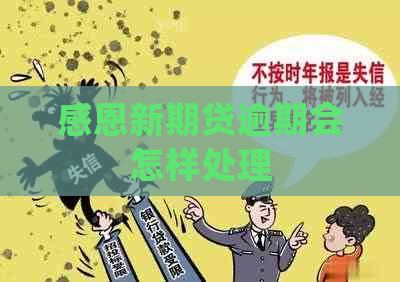 感恩新期贷逾期会怎样处理