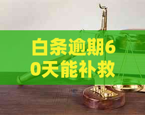 白条逾期60天能补救吗