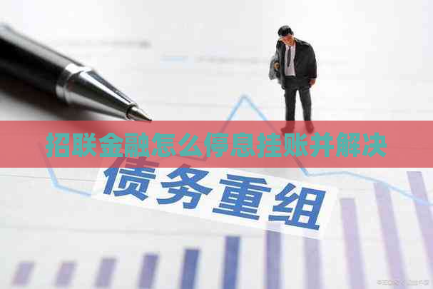 招联金融怎么停息挂账并解决