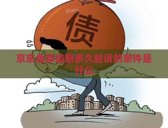 京东金条逾期多久起诉的条件是什么