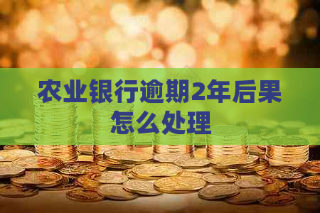 农业银行逾期2年后果怎么处理