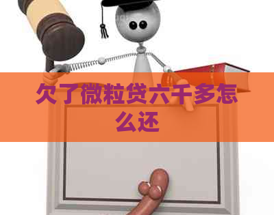 欠了微立贷六千多怎么还