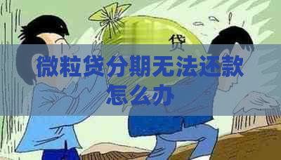 微立贷分期无法还款怎么办