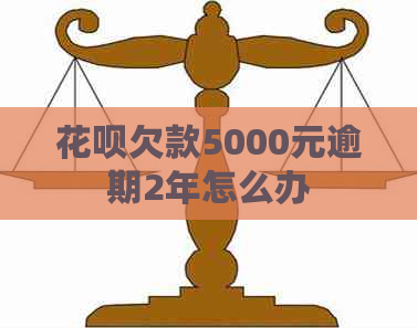 花呗欠款5000元逾期2年怎么办