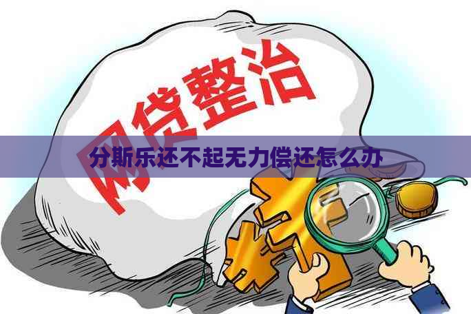 分斯乐还不起无力偿还怎么办