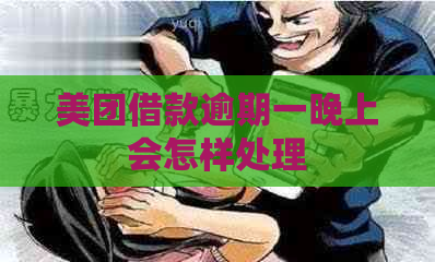 美团借款逾期一晚上会怎样处理