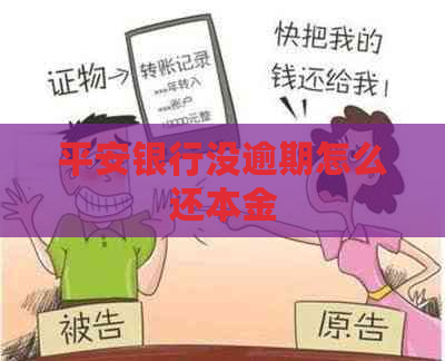 平安银行没逾期怎么还本金