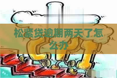 松紧贷逾期两天了怎么办