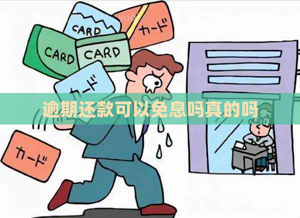 逾期还款可以免息吗真的吗