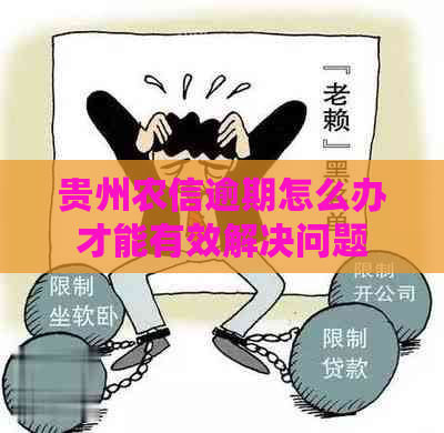 贵州农信逾期怎么办才能有效解决问题