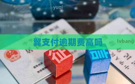 翼支付逾期费高吗