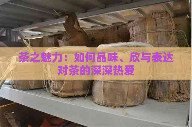 茶之魅力：如何品味、欣与表达对茶的深深热爱