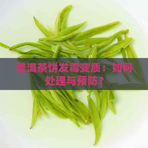 普洱茶饼发霉变质：如何处理与预防？