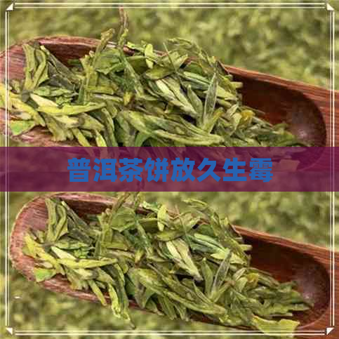 普洱茶饼放久生霉