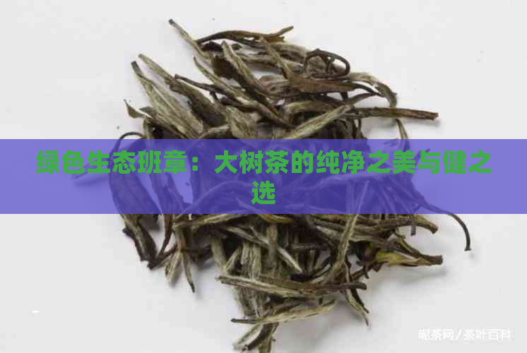 绿色生态班章：大树茶的纯净之美与健之选