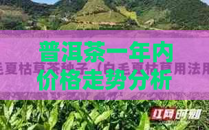 普洱茶一年内价格走势分析：预测与趋势探讨