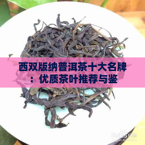 西双版纳普洱茶十大名牌：优质茶叶推荐与鉴