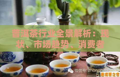 普洱茶行业全景解析：现状、市场趋势、消费者行为与未来发展前景